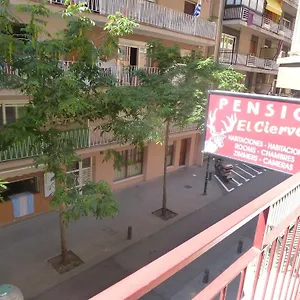 Maison d'hôtes El Ciervo 